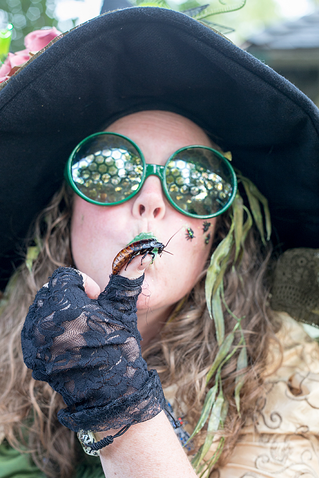 bug witch