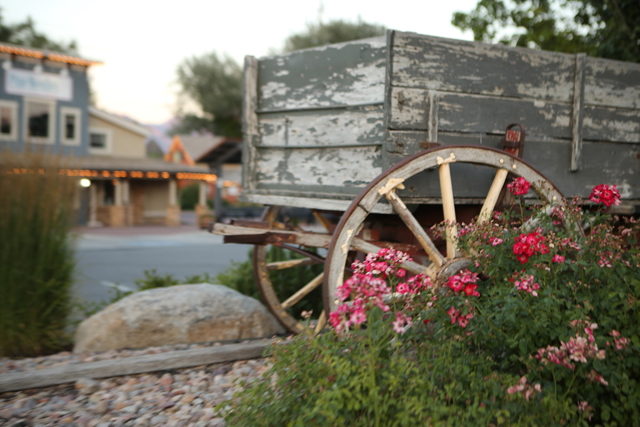 pioneer wagon