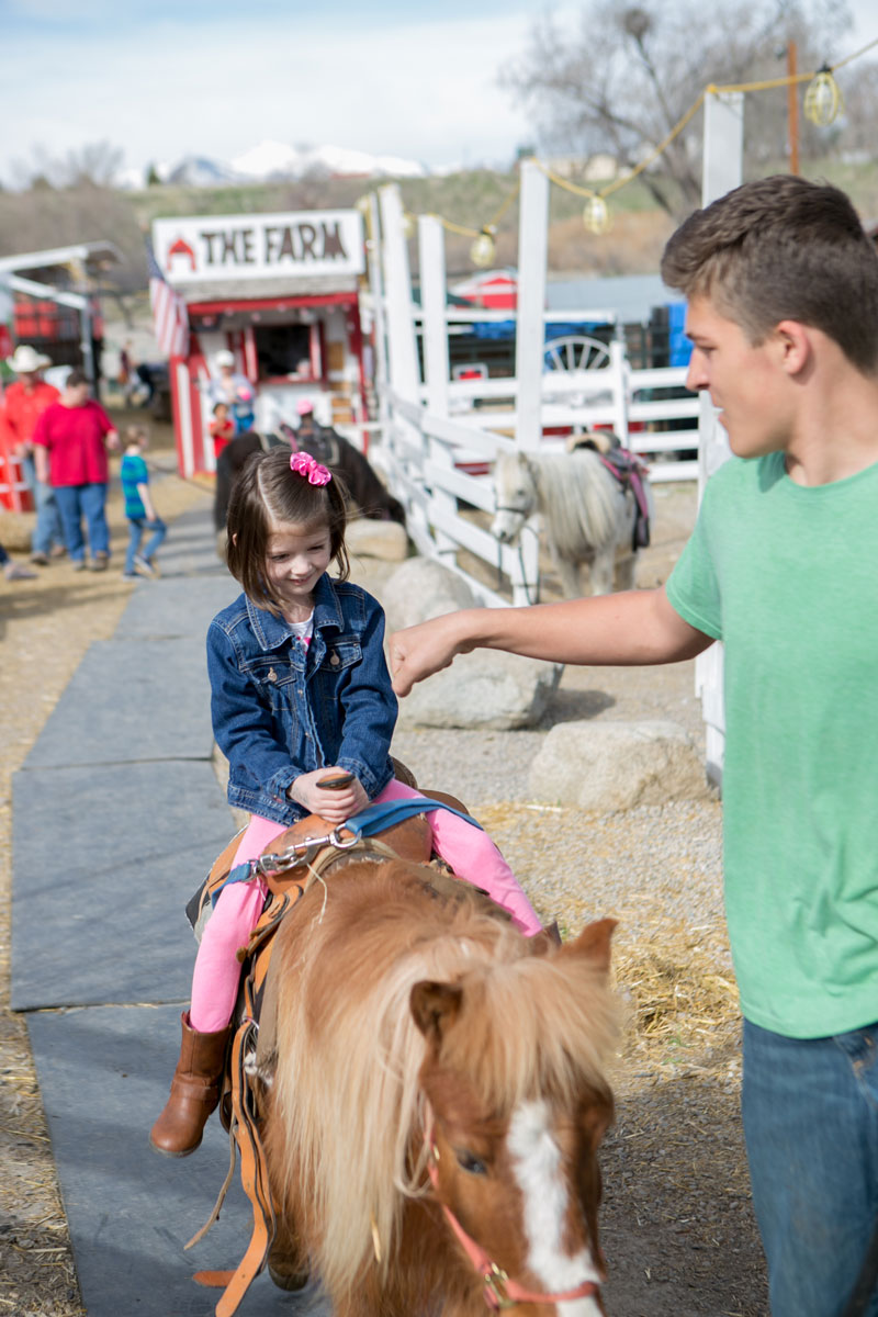 The Farm petting zoo and pony rides