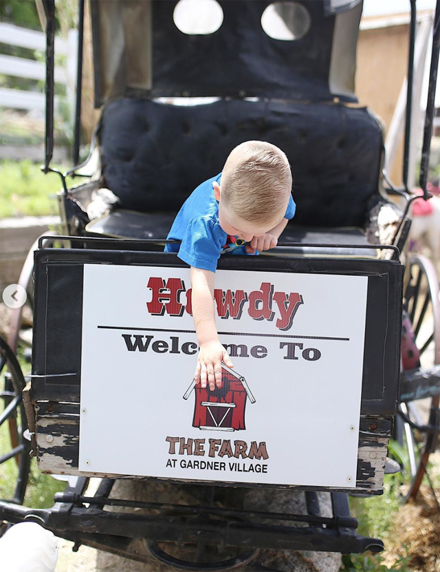 utah pony rides