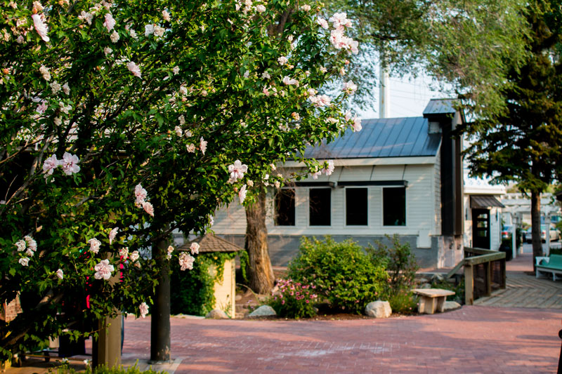 Soulstice Day Spa