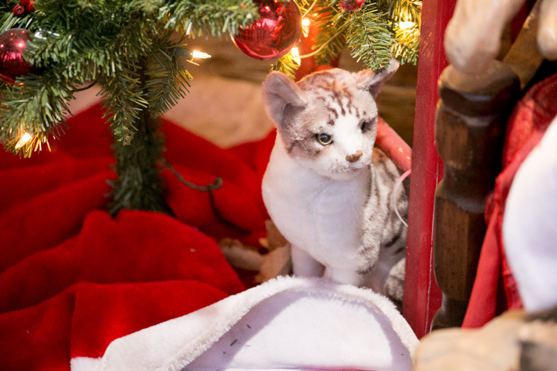 holiday details