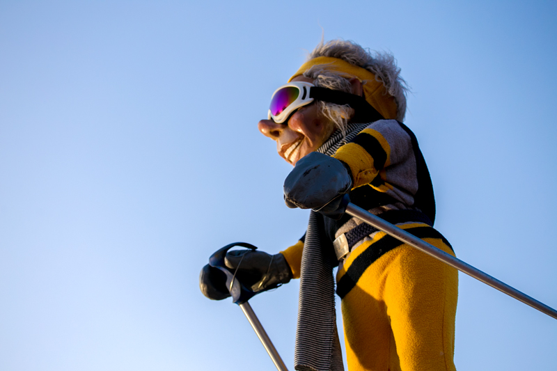 skiing elf