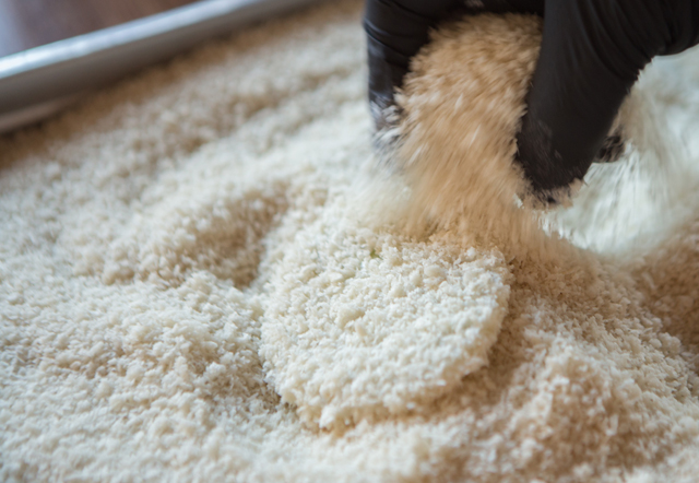 panko breadcrumbs