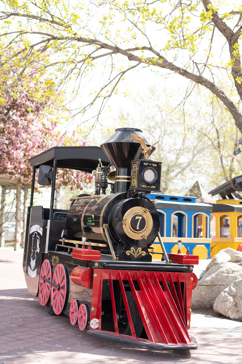 The Train Shoppe