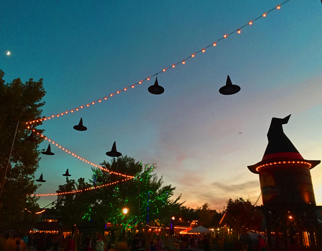 witches night out